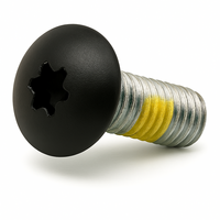 1/4-28 X 5/8 TORX TRUSS HEAD MACHINE SCREW ZINC #T-27 AL 2000 BLACK YELLOW NYLON PATCH